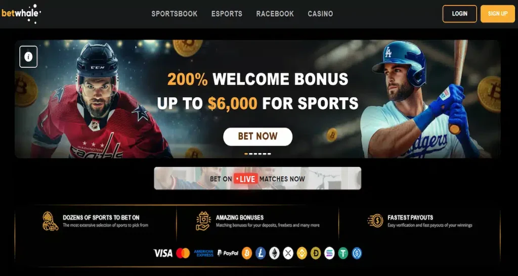 BetWhale online casinos real money platform with fast payouts and high return slot games
